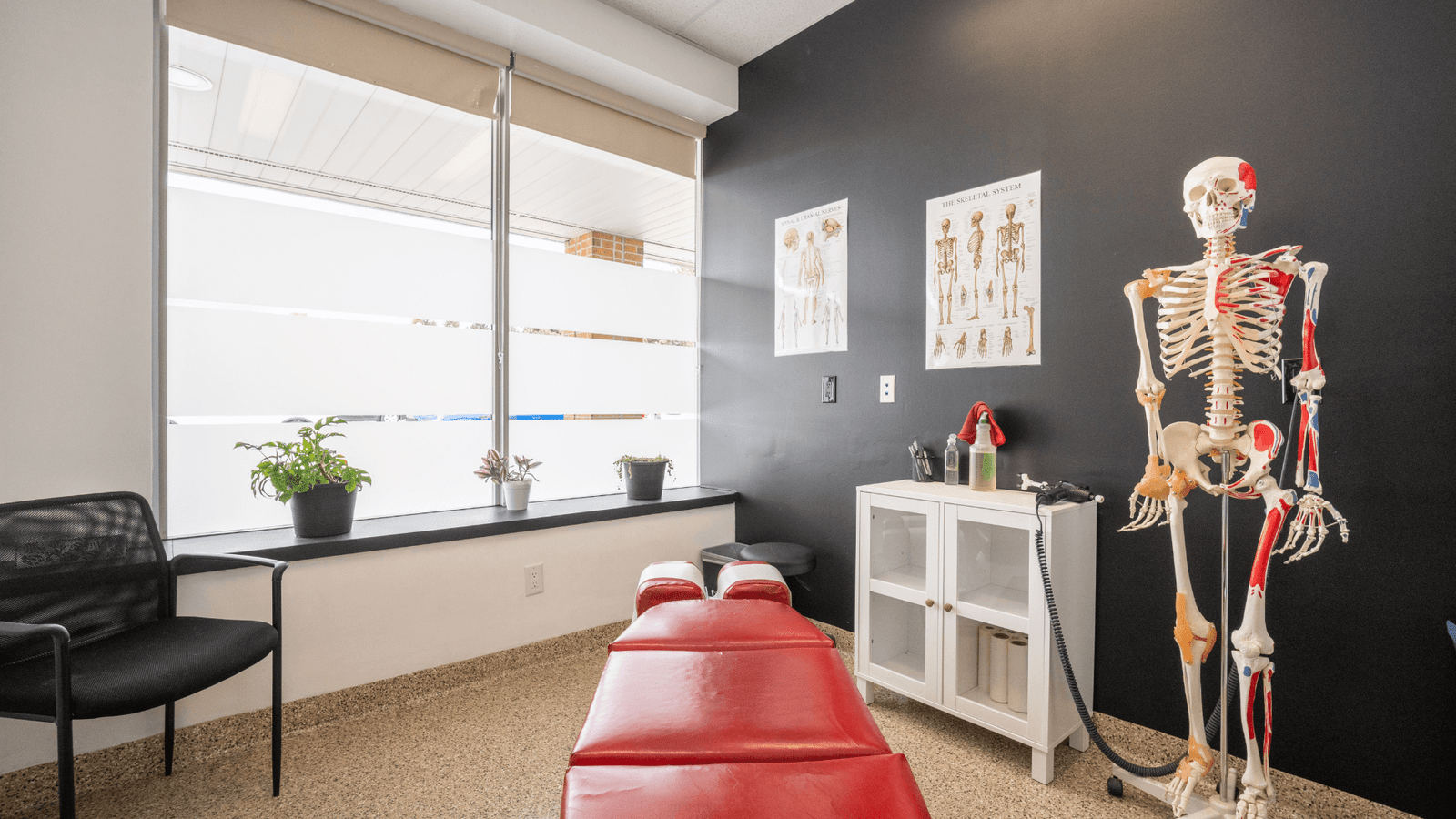 6 Best Patient Scheduling Apps for Chiropractors in 2025 (Features & Pricing)