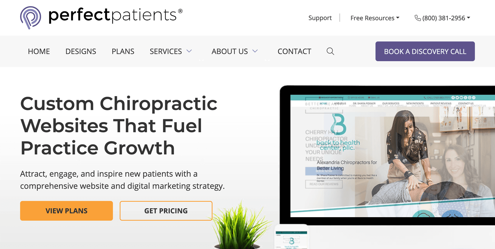 Perfect Patients